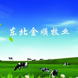 長春做網(wǎng)站公司 網(wǎng)站建設(shè) 網(wǎng)站設(shè)計(jì) 微信平臺(tái)制作 億人科技13756566613,18946773937,18186893973